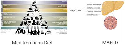 Mediterranean diet affects the metabolic outcome of metabolic dysfunction-associated fatty liver disease